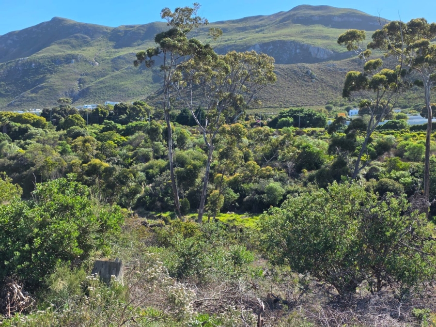 Commercial Property for Sale in Onrus Western Cape